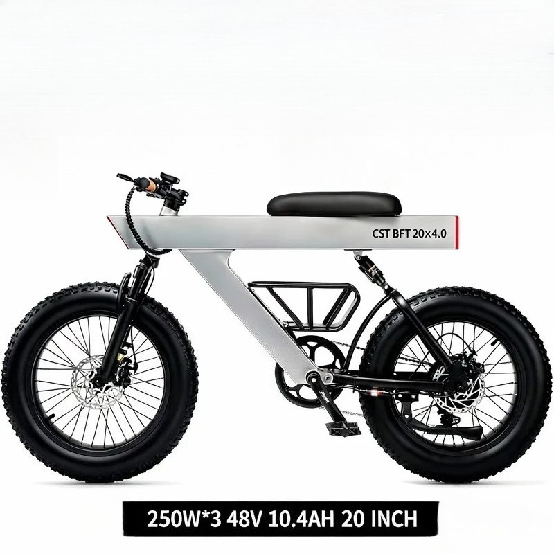 New Arrival 500W Adults Electr - Road Bike Tire recension och pris