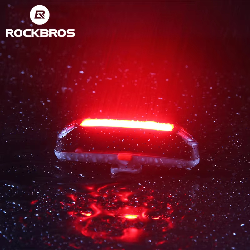 ROCKBROS Bike Rear Light 500mA - Cycling Gear Charging Station recension och pris