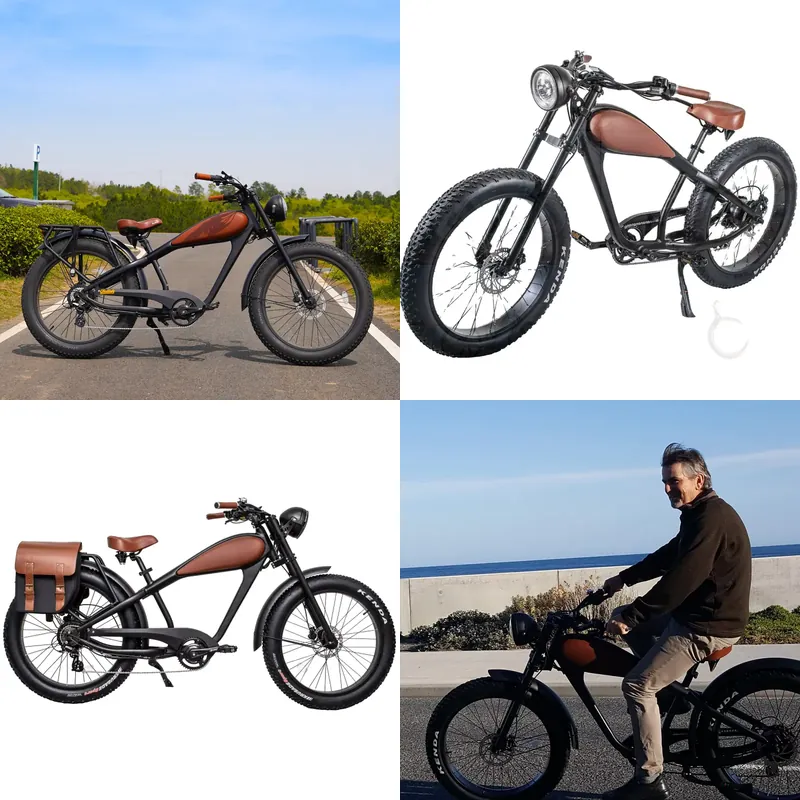 OEM 750W Hot Electric Vintage  - Road Bike Tire recension och pris