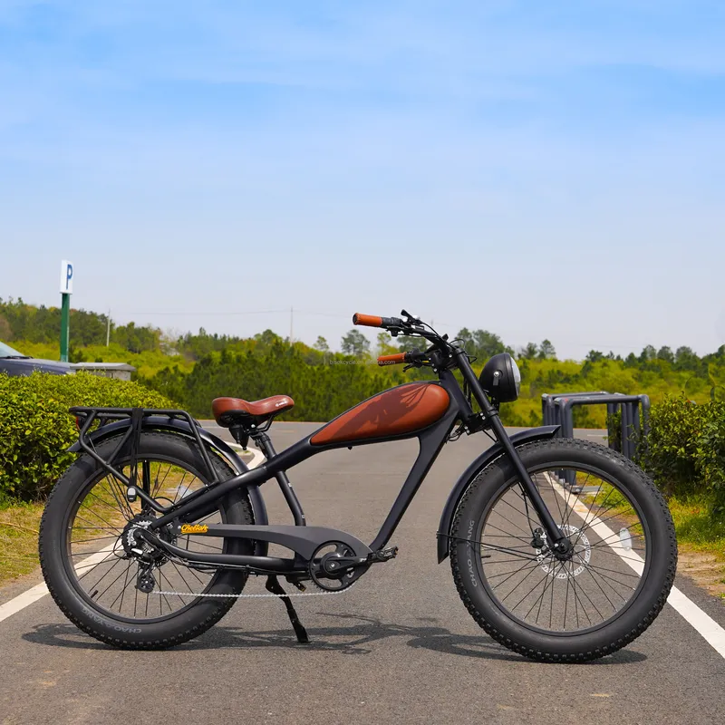 OEM 750W Hot Electric Vintage  - Road Bike Tire recension och pris