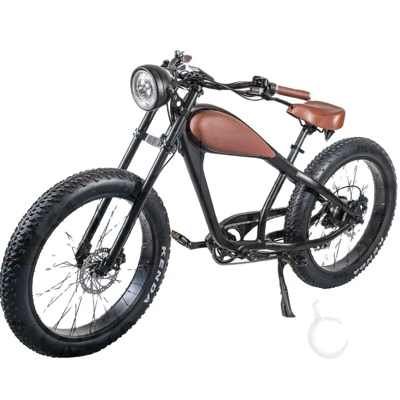 OEM 750W Hot Electric Vintage  - Road Bike Tire recension och pris