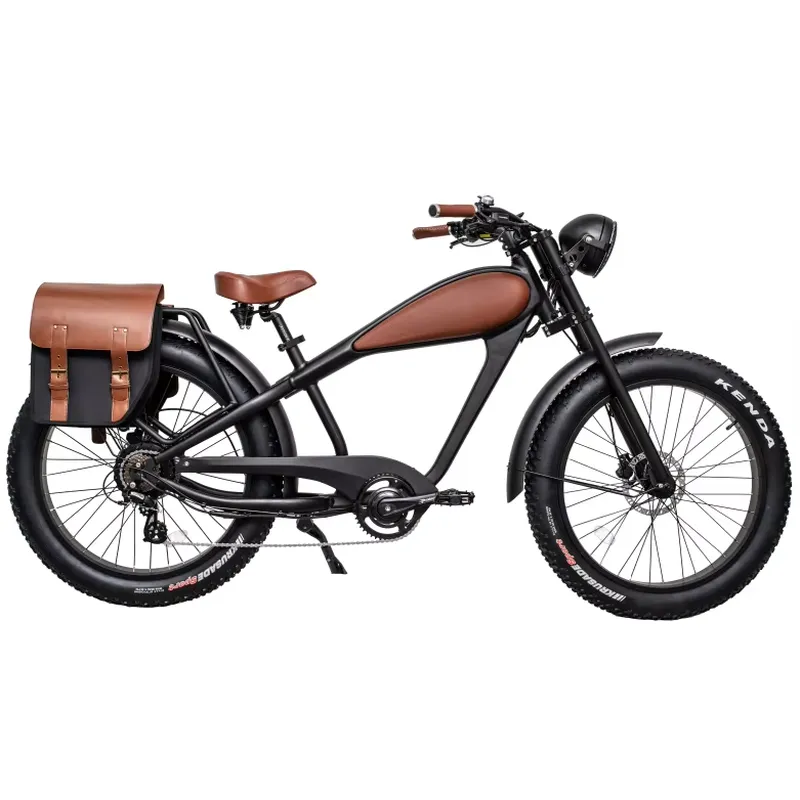 OEM 750W Hot Electric Vintage  - Road Bike Tire recension och pris